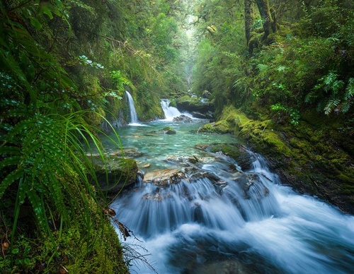 Galeria de fotografias de William Patino - Nova Zelândia