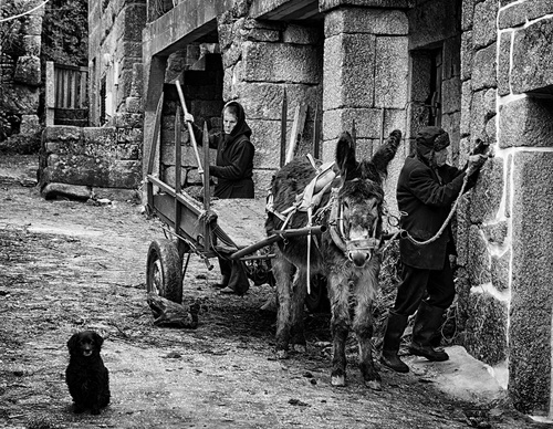 Gallery Of Photography By João Madureira - Portugal