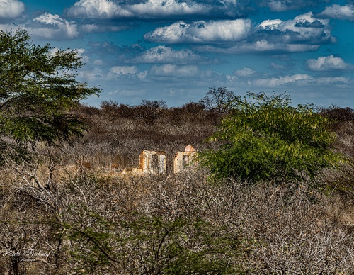 Gallery Of Photography By Norberto Kreutzer Fruhauf - Brazil
