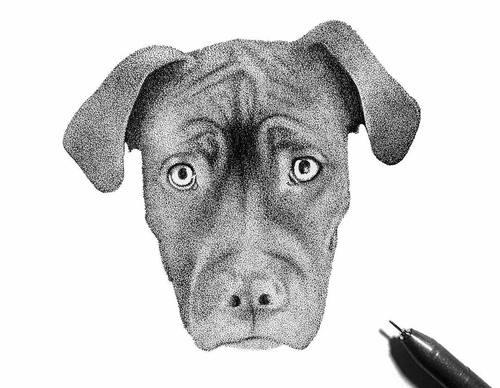 Gallery Of Illustration By David Nott - USA