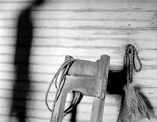 raul canibano
