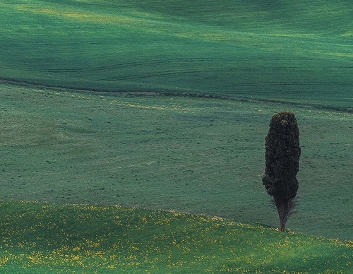 Gallery Of Photography By Marco Grassi - Argentina