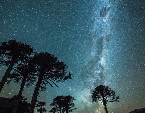 Gallery Of Photography By Fernando Gudenschwager - Chile