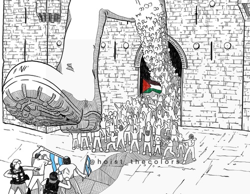 Galería de ilustraciones de Hadil Alsafadi - Palestina