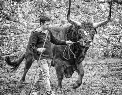 Gallery Of Photography By João Madureira - Portugal