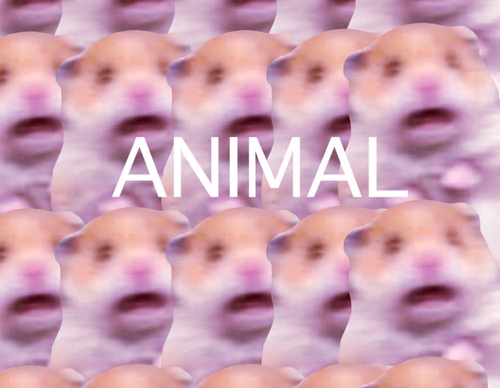 blank poster animal