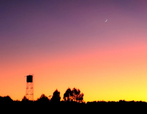 Gallery Of Photography By Homayra Oyarce G - Chile