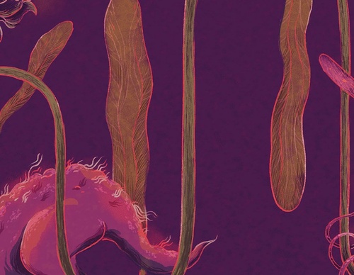 Galería de ilustraciones de Julián Solano - Colombia