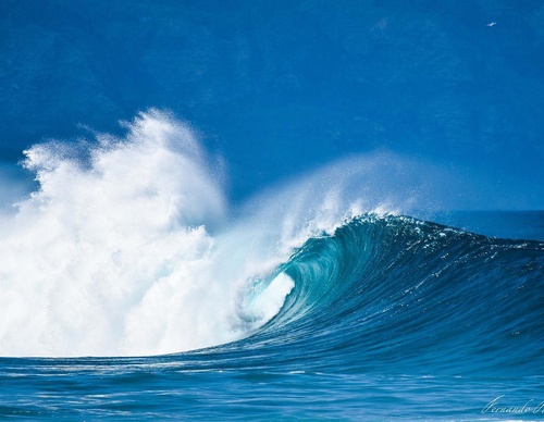 Gallery Of Photography By Fernando Faciole - Brazil