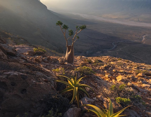 Gallery Of Photography By Marco Grassi - Argentina