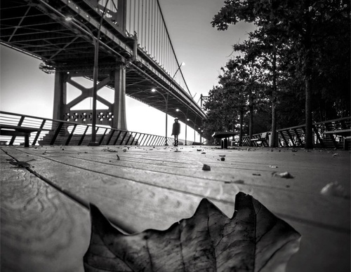william smith