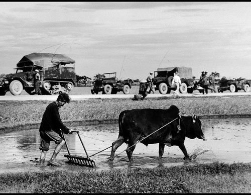 robert capa