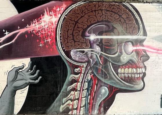 Gallery Of Street Art By Nychos - Mexico