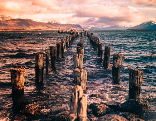 Gallery Of Photography By Rocio Del Valle - Chile