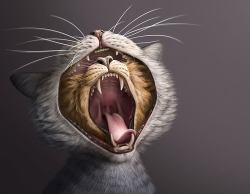 best illustrators