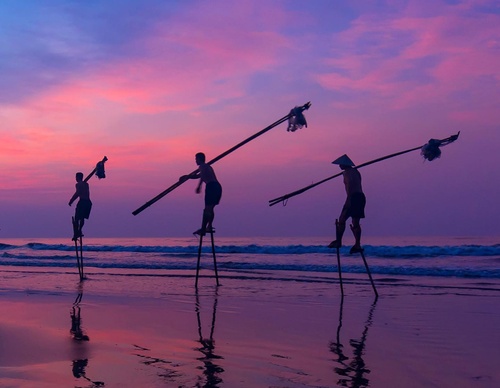 Galería de Fotografía de Tran Tuan Viet - Vietnam