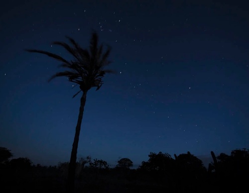 Gallery of photography by Gustavo Bettini-Brazil