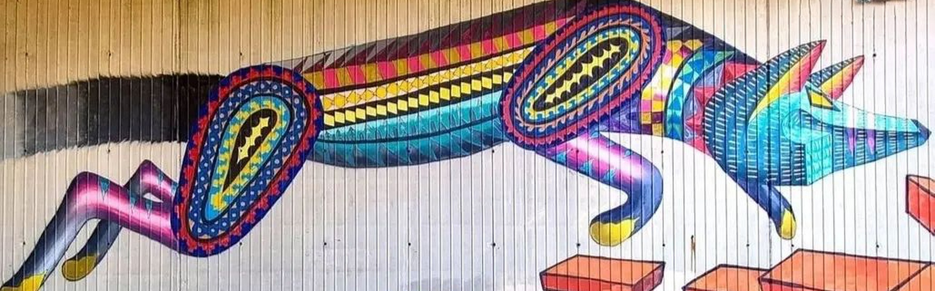 Galería de arte callejero de Spaik - México