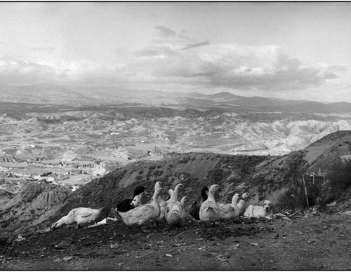 martine franck