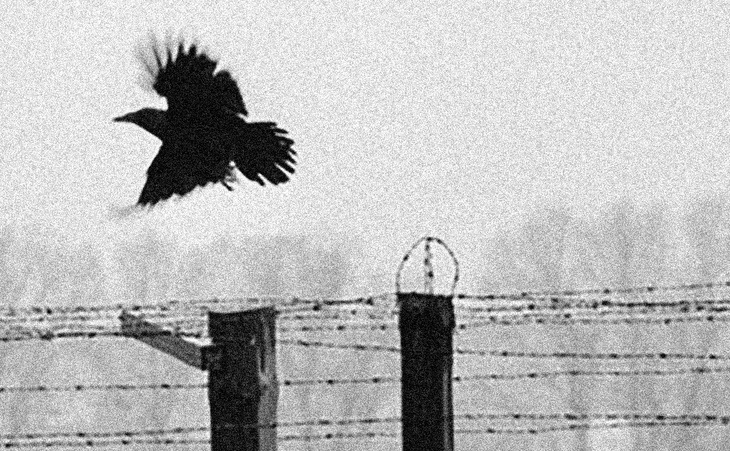 Gallery of Photography by Erich Hartmann – Germany