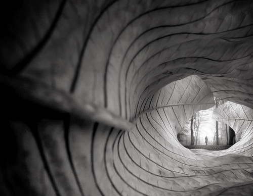 william smith