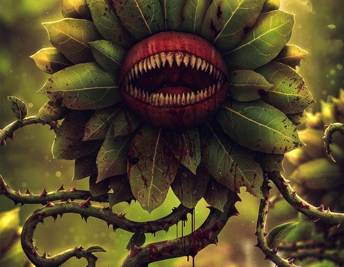 Gallery Of Illustration By Benjamin van Valen - Netherlands