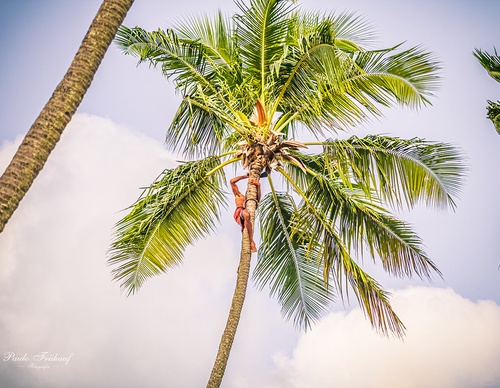 Gallery Of Photography By Norberto Kreutzer Fruhauf - Brazil