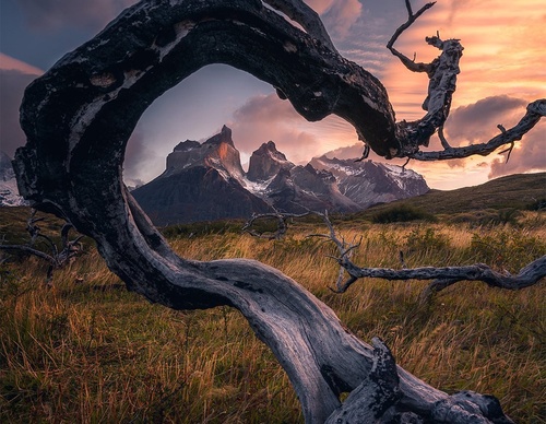 Gallery Of Photography By Marco Grassi - Argentina