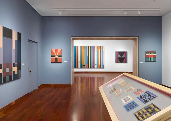 A Essência Geométrica de Fanny Sanín em Exposição na Americas Society