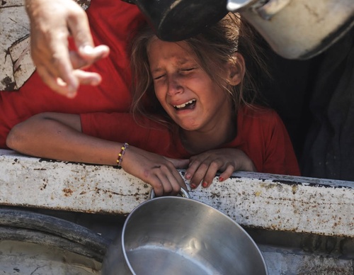 Galería de fotografías de Said Mohmad - Palestina