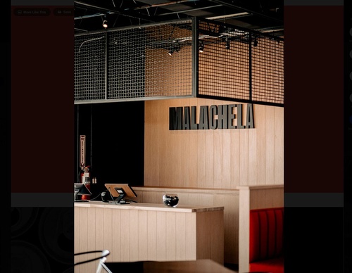 human studio