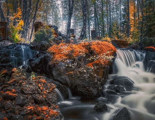 Galeria de Fotografia de Jarno Miettinen - Finlândia