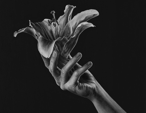 Gallery Of Realistic Painting By Emma Towers Evans - Brazil