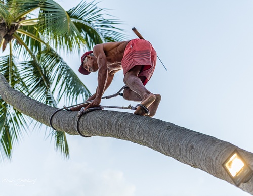 Gallery Of Photography By Norberto Kreutzer Fruhauf - Brazil