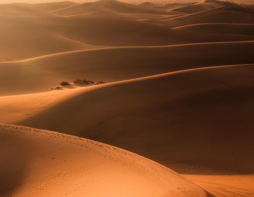 Galería de fotografías de Adam Weist - Nederland