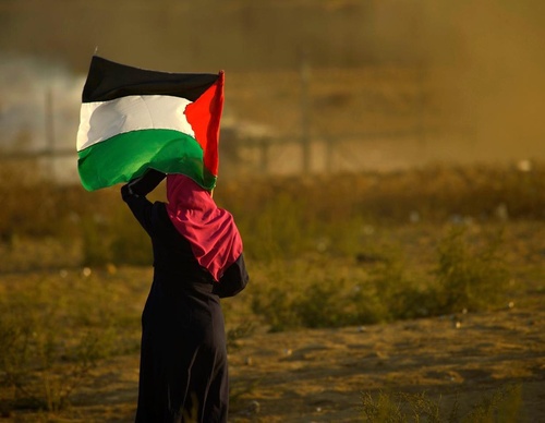 Galería de fotografías de Mohammed Zaanoun - Palestina