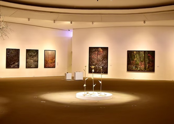 Exposição de Edo Costantini no MAC Niterói, no Rio de Janeiro