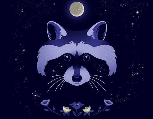 Gallery Of Illustration By Cat Finnie - England