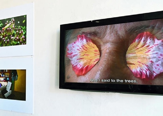 From the Havana Biennial to Chile