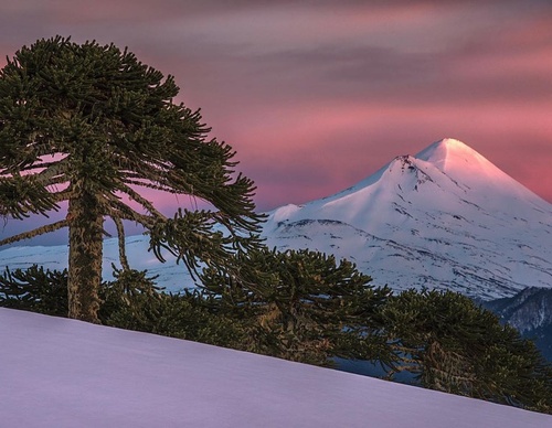 Gallery Of Photography By Jaime Garcés - Chile