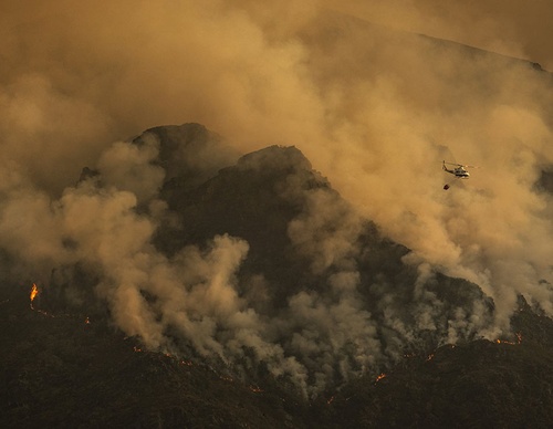 world press photo
