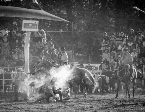 Galería de fotografía de Patricio Rodríguez - Argentina