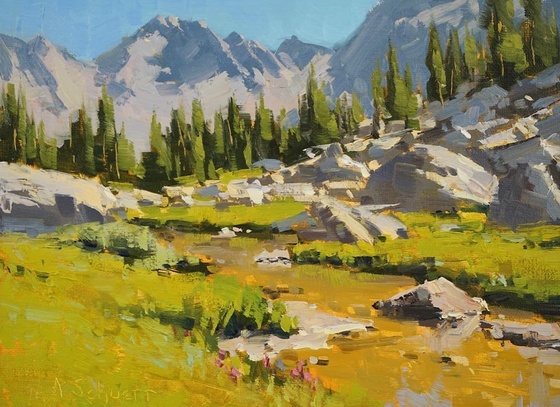 Aaron Schuerr