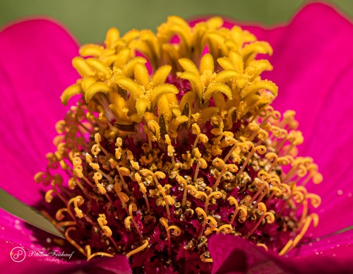 Gallery Of Photography By Norberto Kreutzer Fruhauf - Brazil
