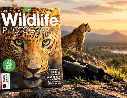 Tech Yourself: Wildlife Photography