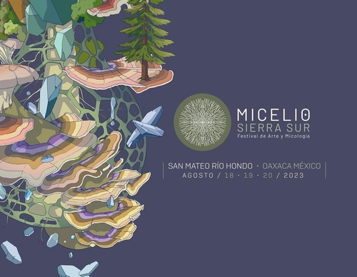 Galería De Ilustración De David Piñón - México
