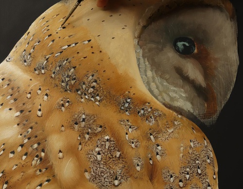 Galería de pintura realista de Annie Drew - Reino Unido