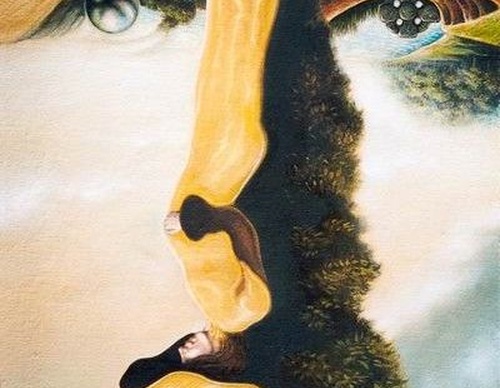 Gallery Of Top 50 Illusory painting Around The World