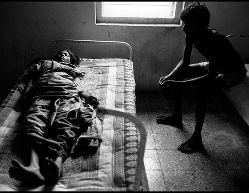 leonard freed