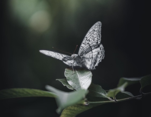 Gallery Of Photography By Luke Stackpoole - United Kingdom